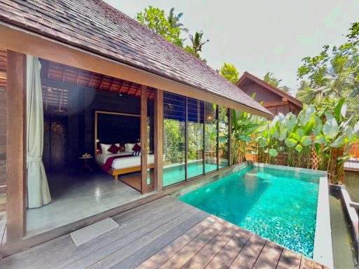 Villa moderne avec piscine privée et jardin verdoyant.