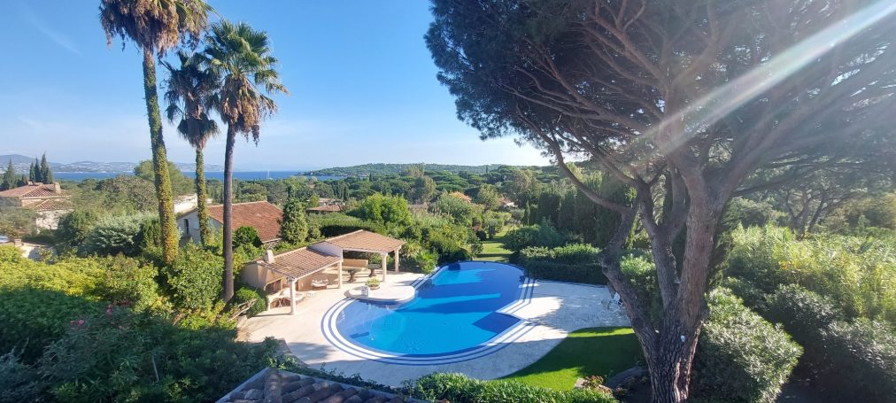 Vue panoramique d'une villa avec piscine et palmiers, entourée de verdure.